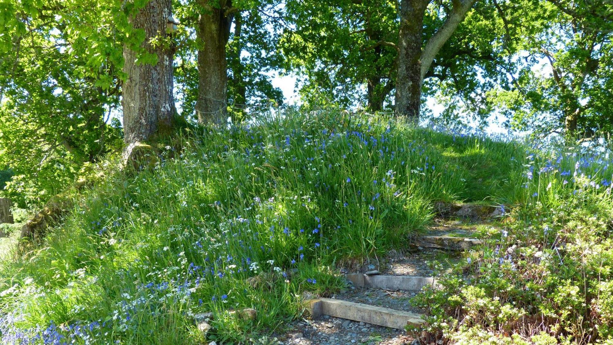 Blarghour Farm Cottages Ardchonnell Exteriér fotografie
